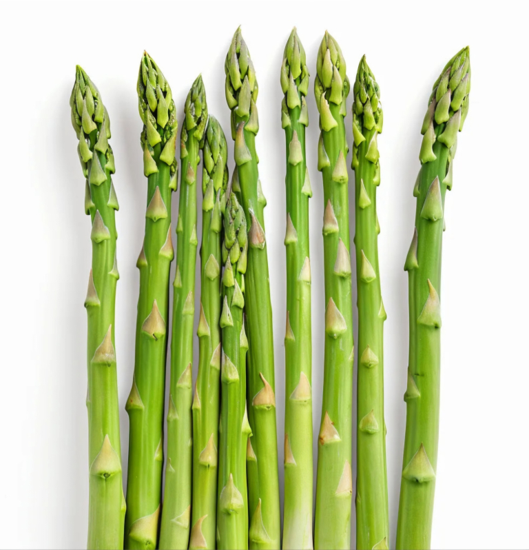 Asperge Verte