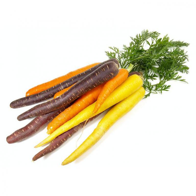Carotte de Couleurs