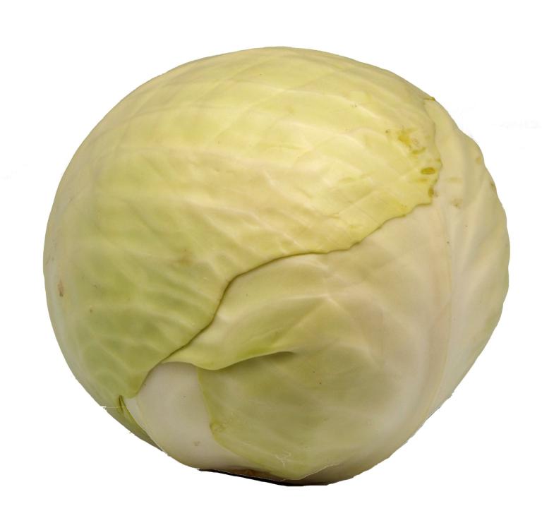 Chou Blanc 