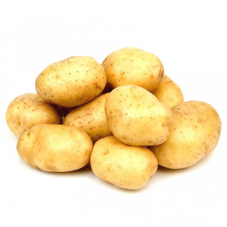 Pomme de Terre Charlotte