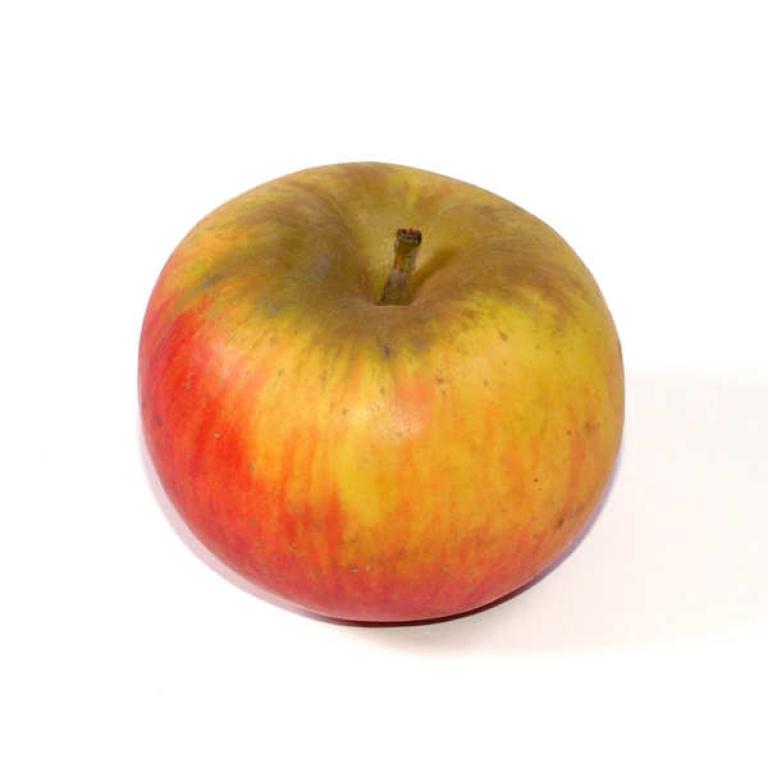 Pomme reine des reinette
