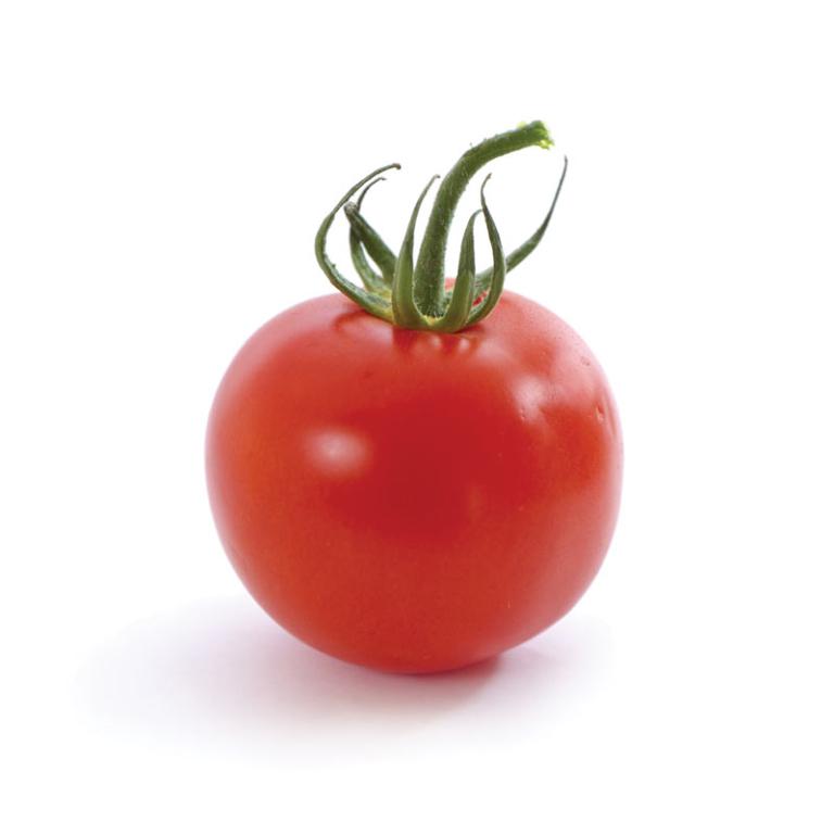 Tomate Ronde