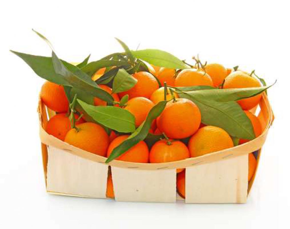 Fruits Cl&eacute;mentine &agrave; feuille de Corse  Financer voyage scolaire