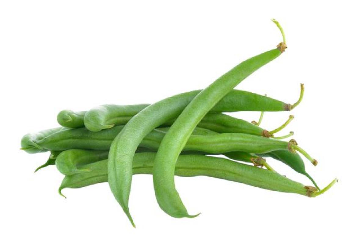 L&eacute;gumes Haricot vert Financer voyage scolaire