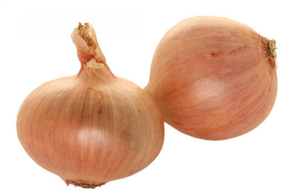 Légumes Oignon rosé Financer voyage scolaire