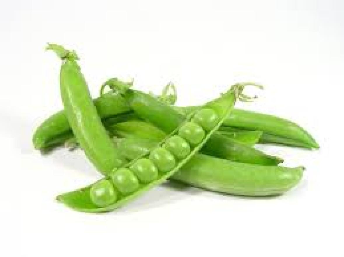 L&eacute;gumes Petit Pois Financer voyage scolaire