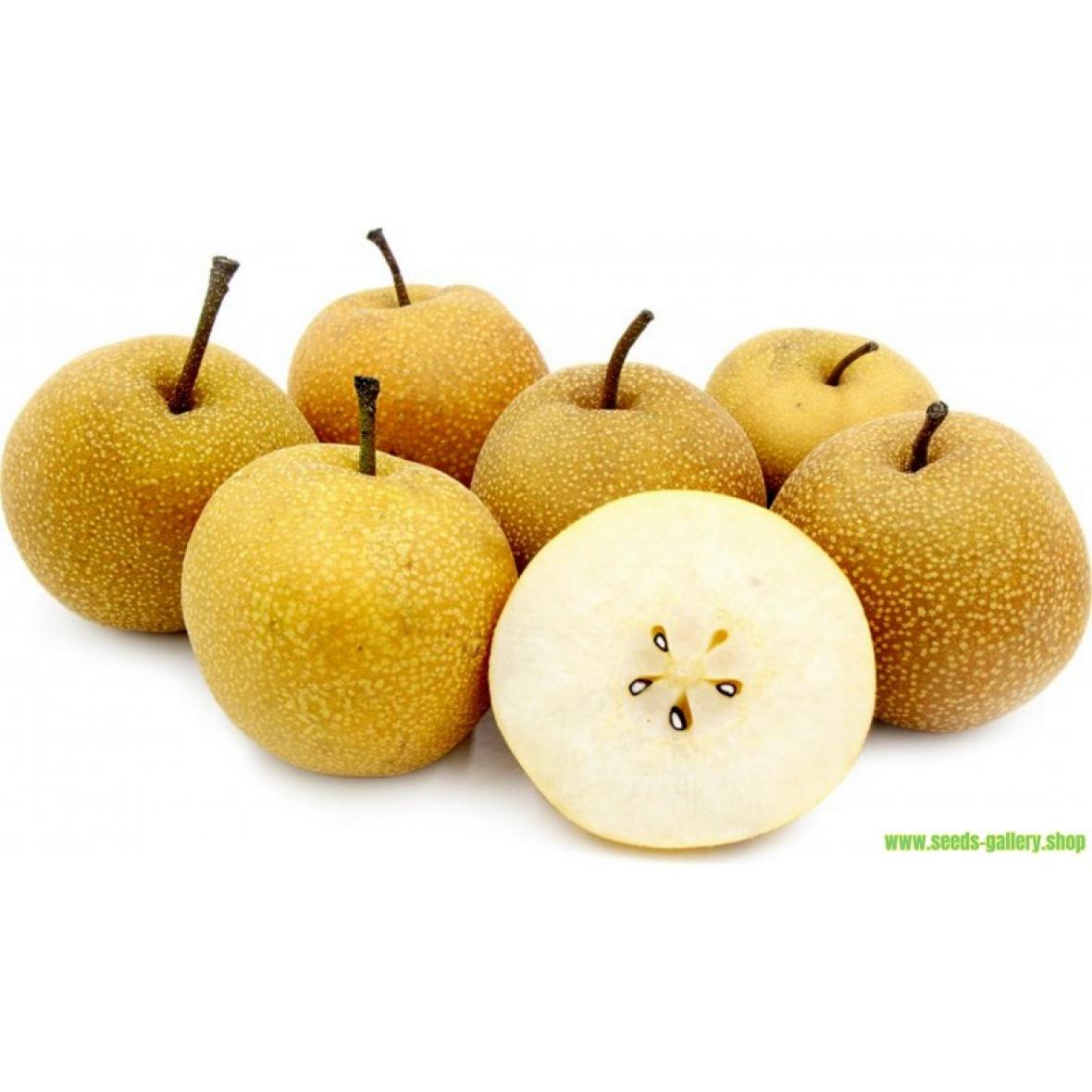 Fruits Poire NASHI France Financer voyage scolaire