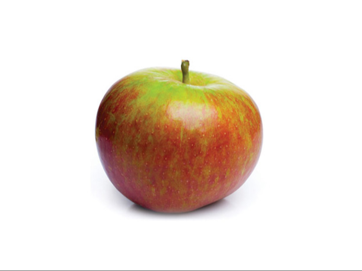 Fruits Pomme Cox Financer voyage scolaire