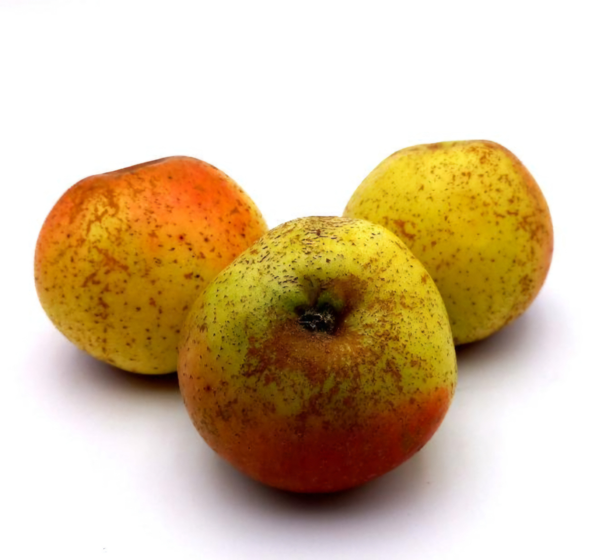 Fruits Pomme Reinette D’Armorique Financer voyage scolaire
