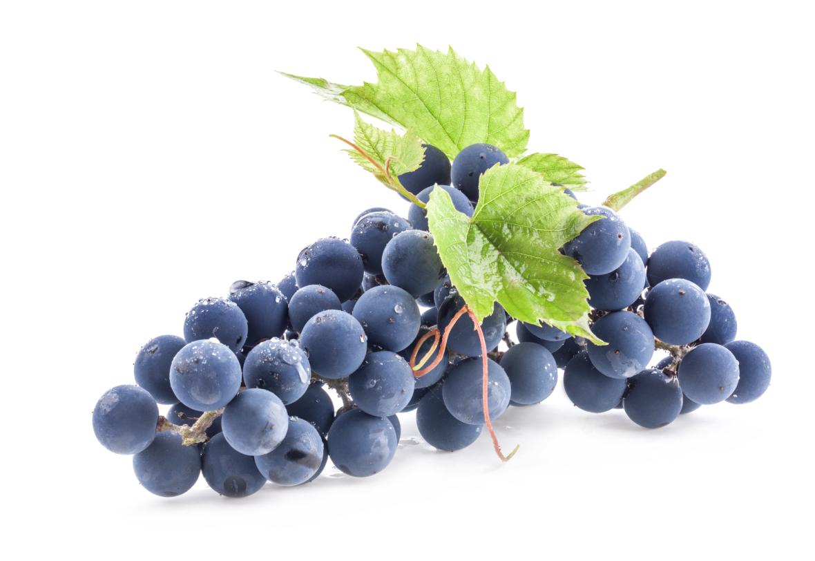 Fruits Raisin Muscat Financer voyage scolaire